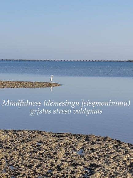 Mindfulness (dėmesingumu) grįstas streso valdymas (seminaras/praktikos) 9